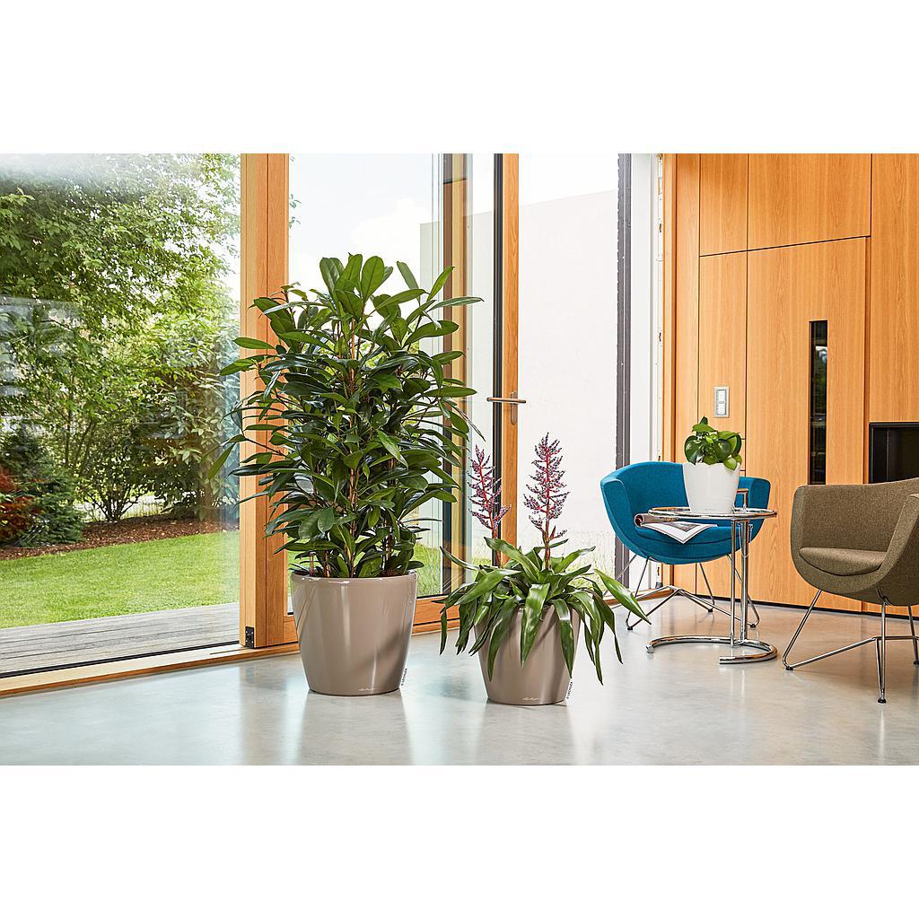 Lechuza Premium Collection CLASSICO LS 43 all in one