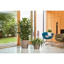 Lechuza Premium Collection CLASSICO LS 43 all in one