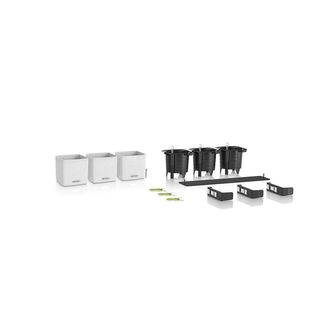 Lechuza Green Wall Home Kit Color