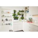 Lechuza Green Wall Home Kit Color