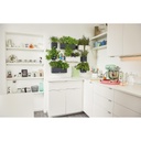 Lechuza Green Wall Home Kit Color