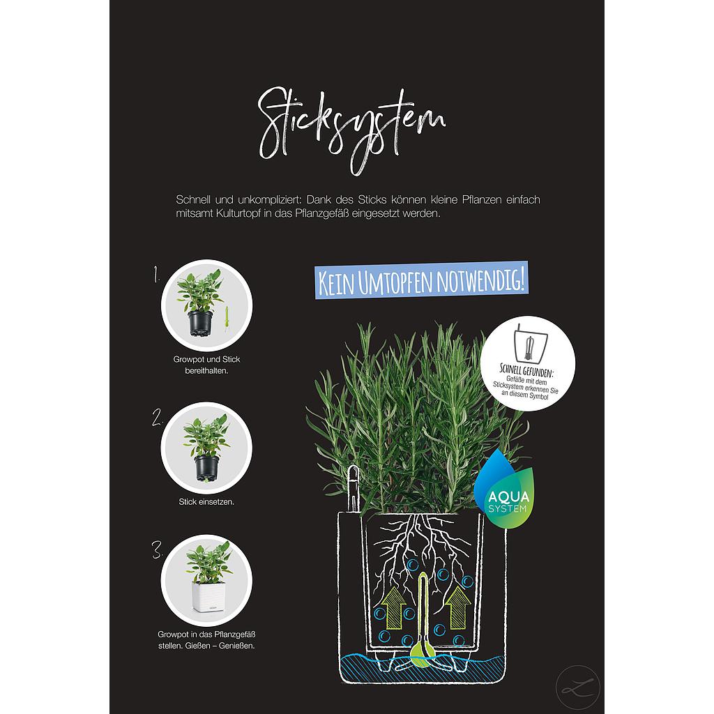 Lechuza Green Wall Home Kit Color
