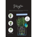 Lechuza Green Wall Home Kit Color