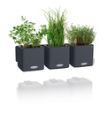 Lechuza Green Wall Home Kit Color