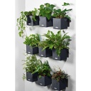 Lechuza Green Wall Home Kit Color