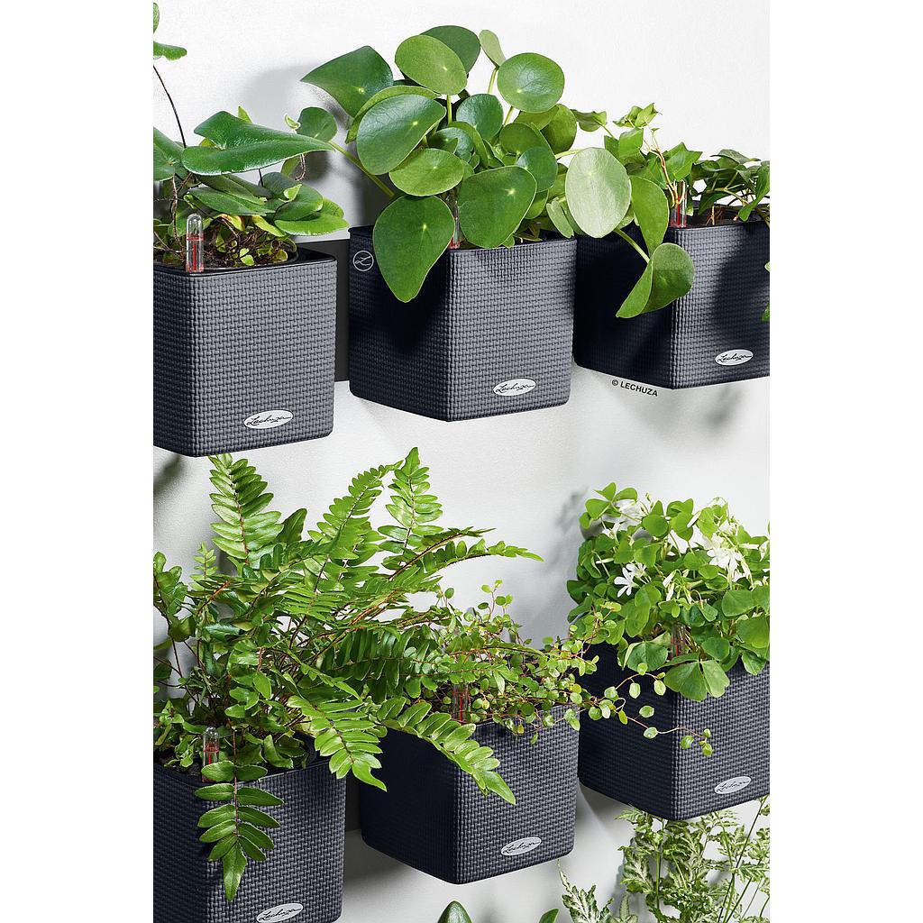 Lechuza Green Wall Home Kit Color