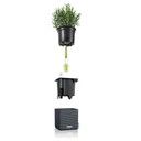 Lechuza Green Wall Home Kit Glossy