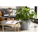 Lechuza HAVALO 40 moon grey