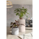 Lechuza HAVALO 60 basalt grey