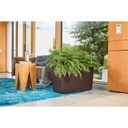 Lechuza Premium Collection CARARO all in one 