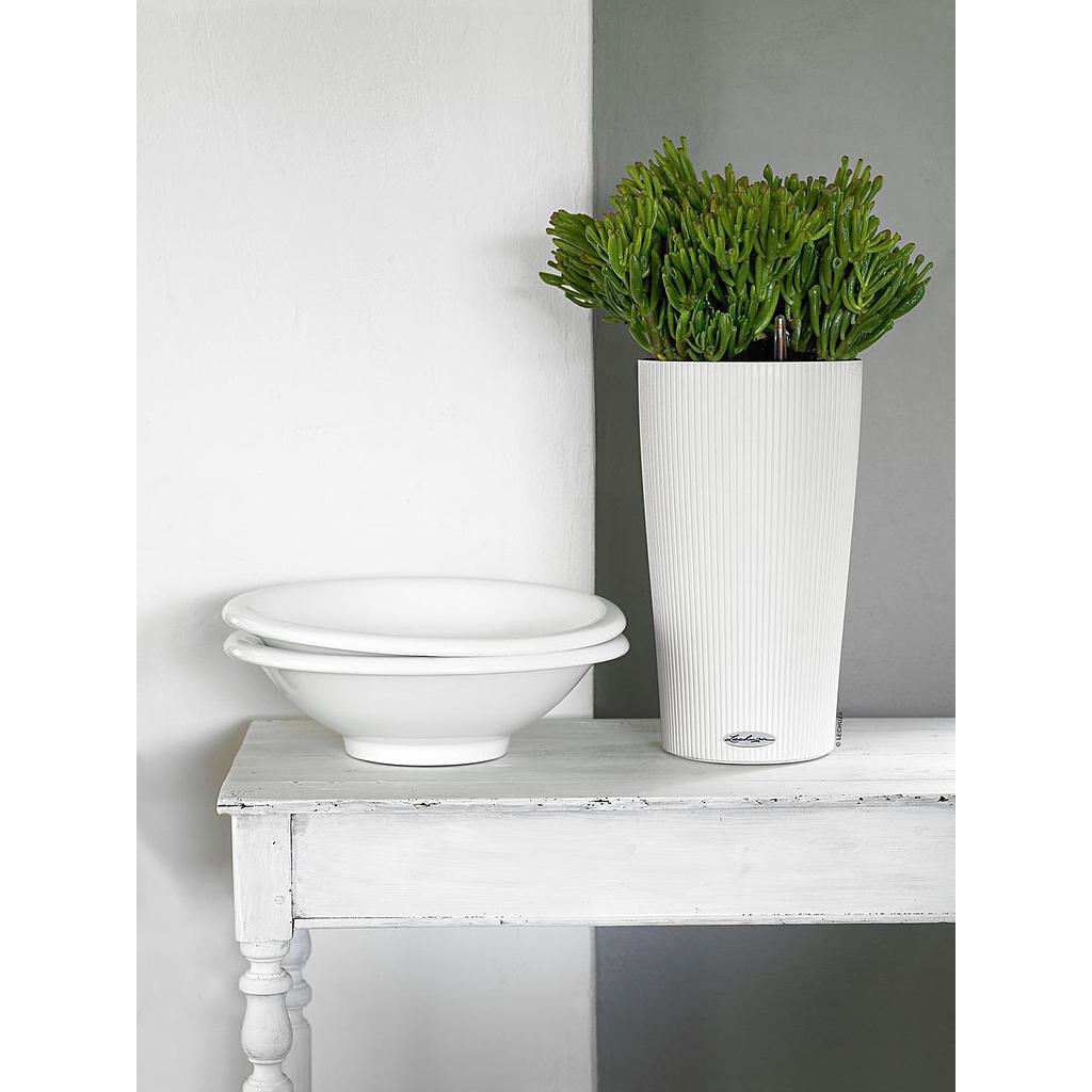 Lechuza Trend Collection CILINDRO Color 23 