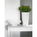 Lechuza Trend Collection CILINDRO Color 23 