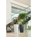 Lechuza Trend Collection CILINDRO Color 23 
