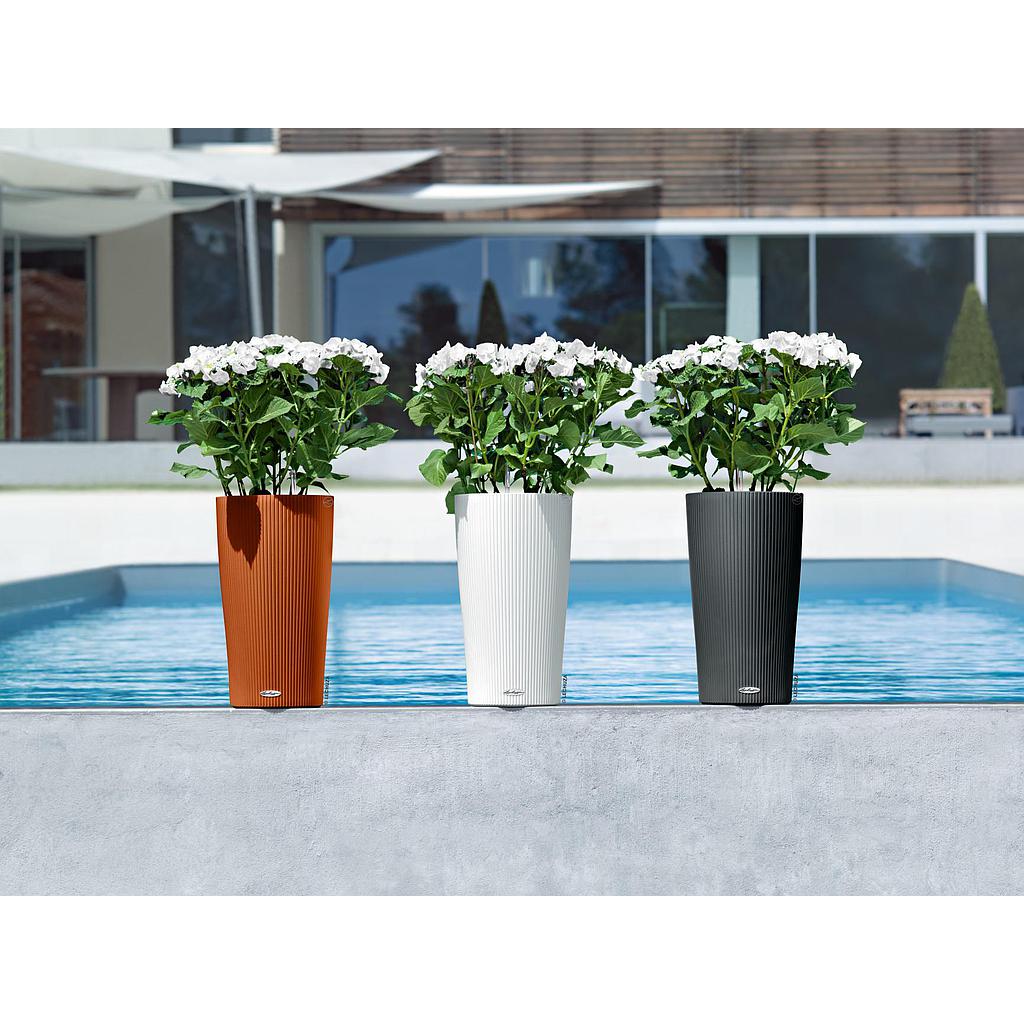 Lechuza Trend Collection CILINDRO Color 32