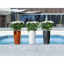 Lechuza Trend Collection CILINDRO Color 32