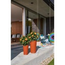 Lechuza Trend Collection CILINDRO Color 32