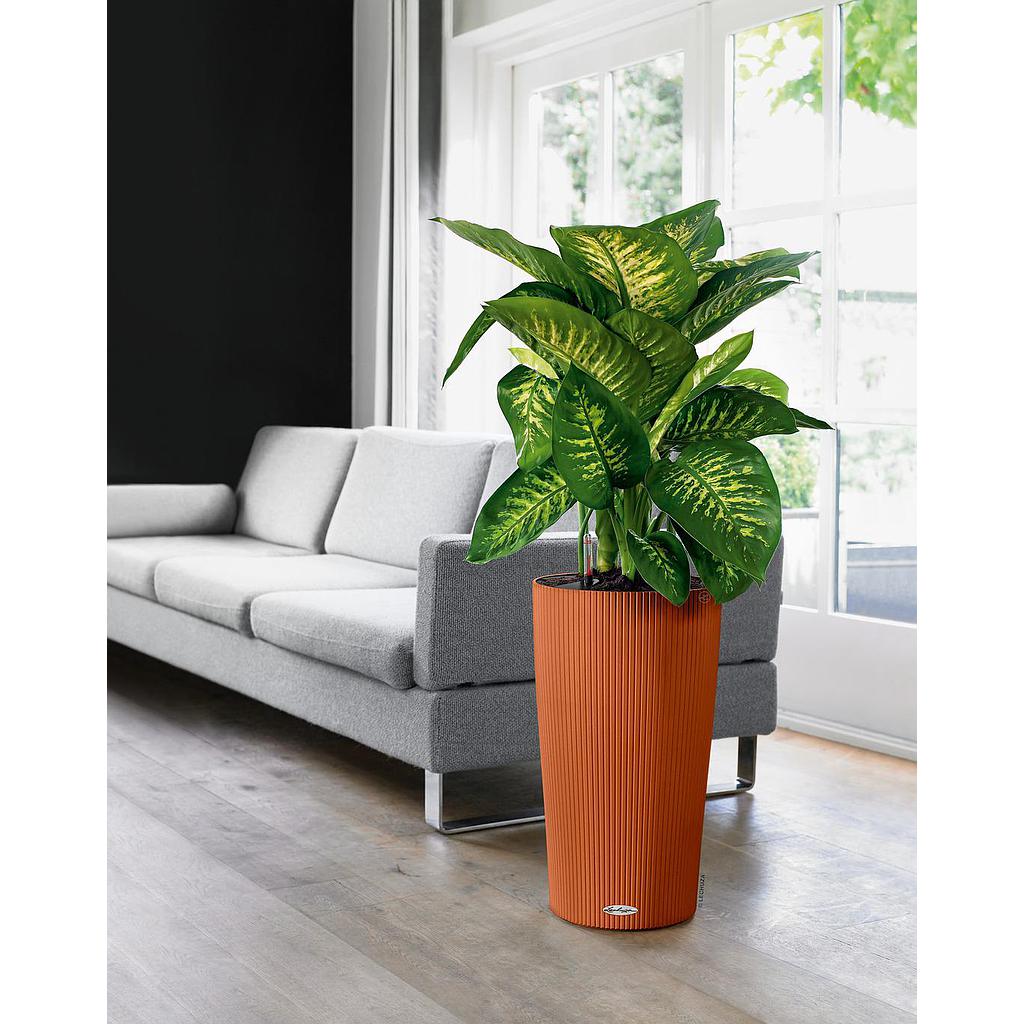 Lechuza Trend Collection CILINDRO Color 32 sandbraun