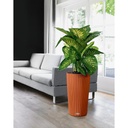 Lechuza Trend Collection CILINDRO Color 32 sandbraun
