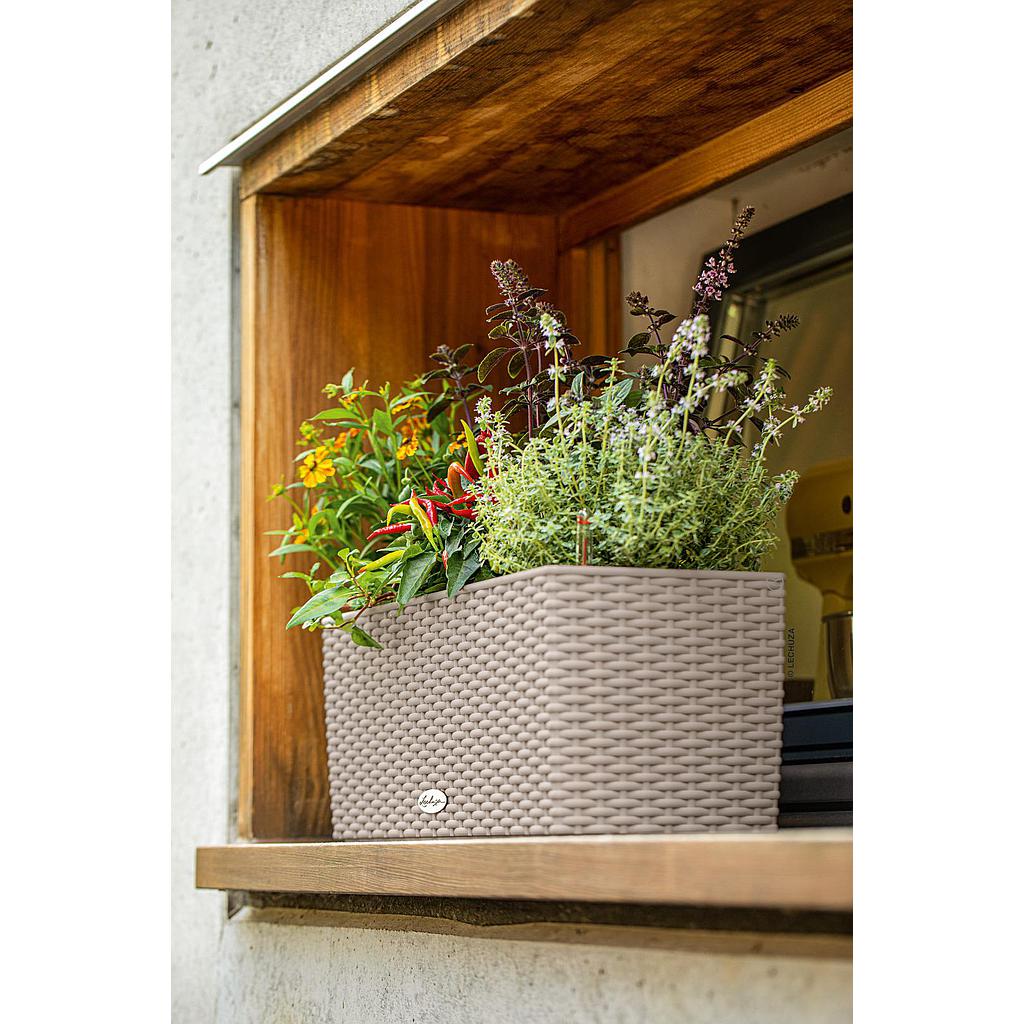 Lechuza Trend Collection BALCONERA Cottage 50 all in one sandbraun
