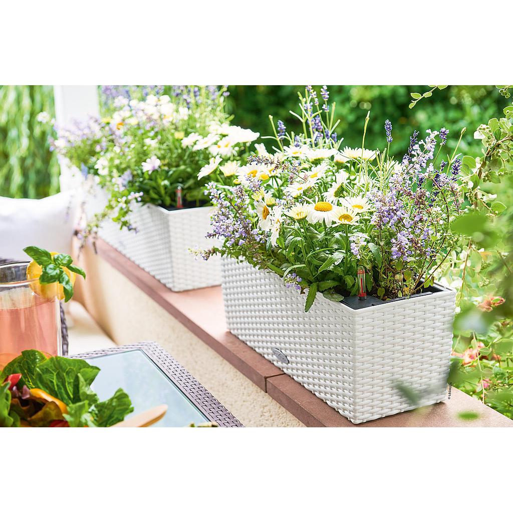 Lechuza Trend Collection BALCONERA Cottage 50 all in one sandbraun