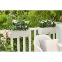 Lechuza Trend Collection BALCONERA Cottage 50 all in one lichtgrau