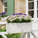 Lechuza Trend Collection BALCONERA Cottage 50 all in one lichtgrau