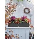 Lechuza Trend Collection BALCONERA Cottage 80 all in one sandbraun
