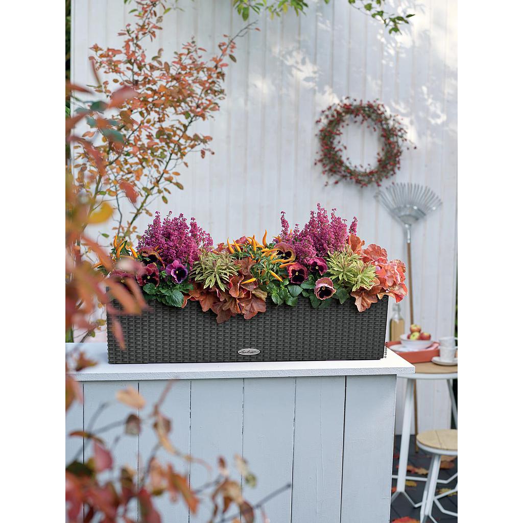 Lechuza Trend Collection BALCONERA Cottage 80 all in one lichtgrau