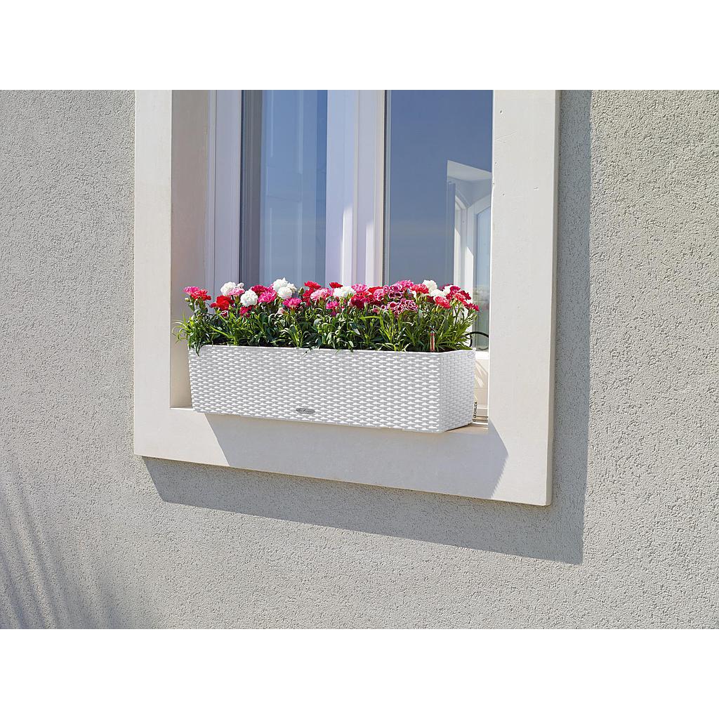 Lechuza Trend Collection BALCONERA Cottage 80 all in one lichtgrau