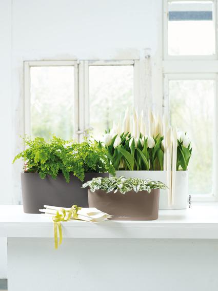 Lechuza Tischgefässe DELTA 10 all in one