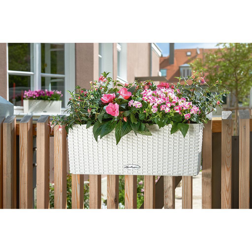 Lechuza Trend Collection BALCONERA Cottage 50 all in one