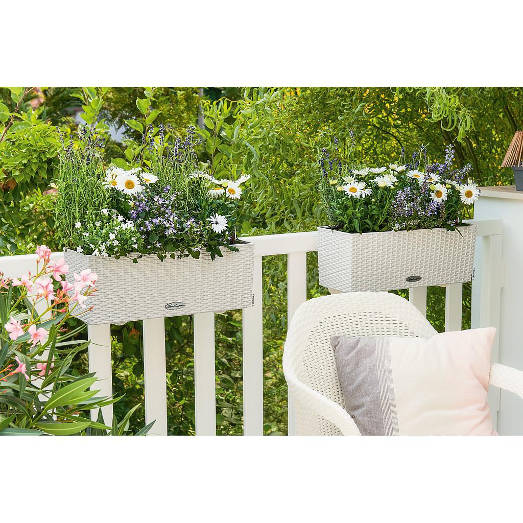 Lechuza Trend Collection BALCONERA Cottage 50 all in one