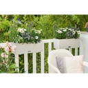 Lechuza Trend Collection BALCONERA Cottage 50 all in one