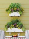 Lechuza Trend Collection BALCONERA Cottage 50 all in one