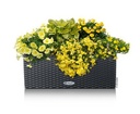 Lechuza Trend Collection BALCONERA Cottage 50 all in one