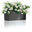 Lechuza Trend Collection BALCONERA Cottage 50 all in one