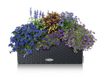 Lechuza Trend Collection BALCONERA Cottage 50 all in one