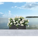 Lechuza Trend Collection BALCONERA Cottage 50 all in one