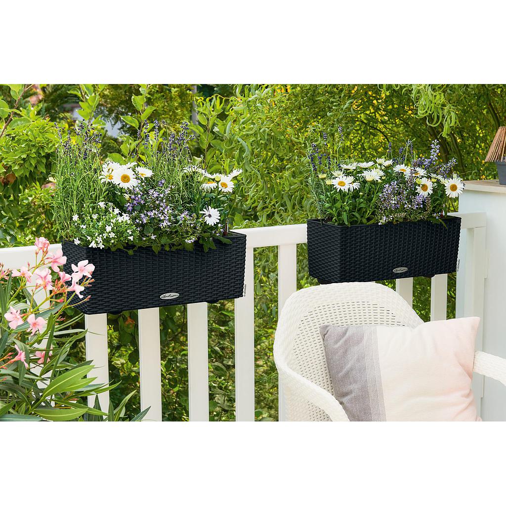 Lechuza Trend Collection BALCONERA Cottage 50 all in one