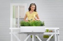 Lechuza Trend Collection BALCONERA Cottage 80 all in one 