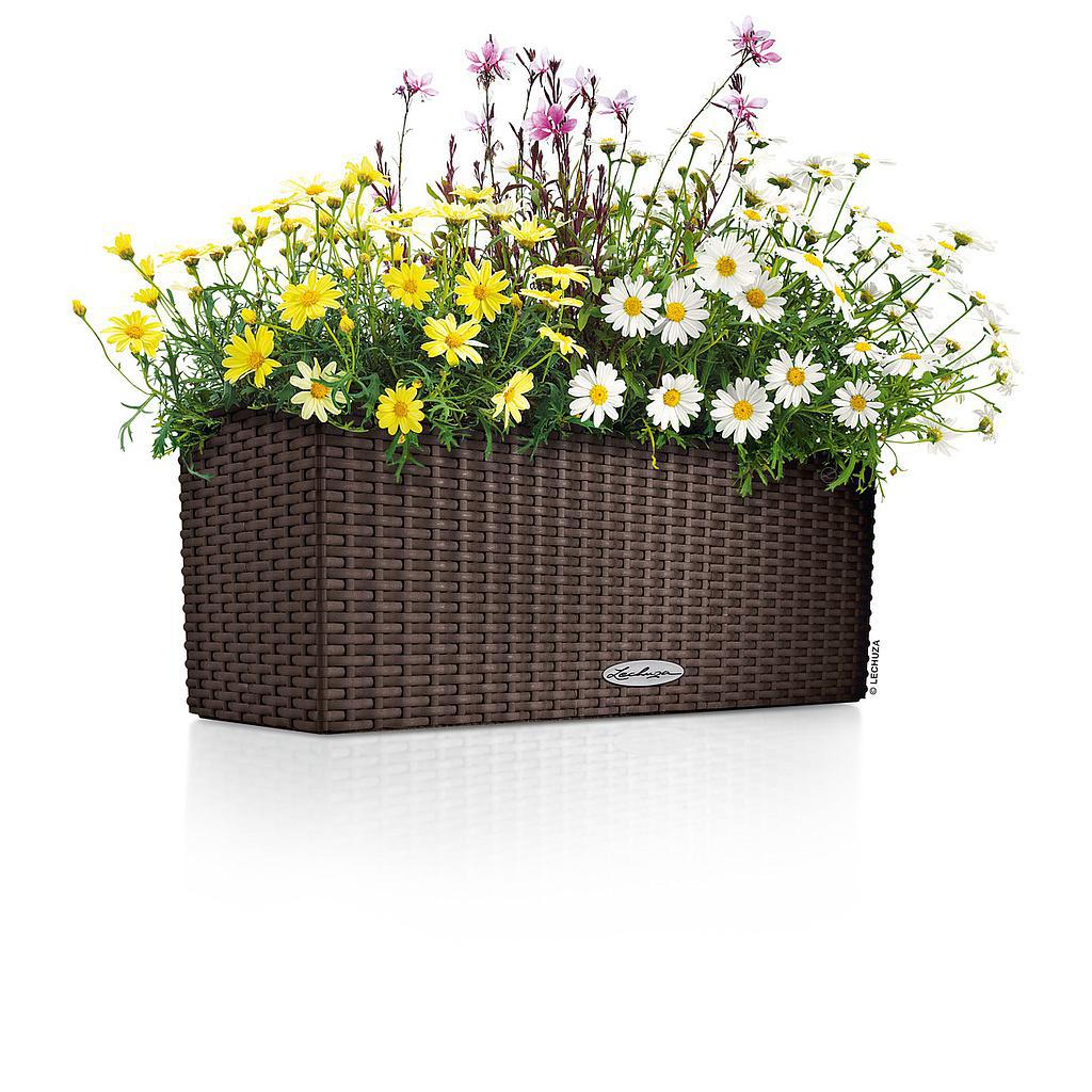 Lechuza Trend Collection BALCONERA Cottage 80 all in one 