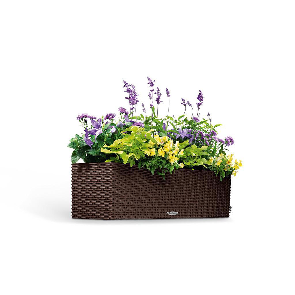 Lechuza Trend Collection BALCONERA Cottage 80 all in one 
