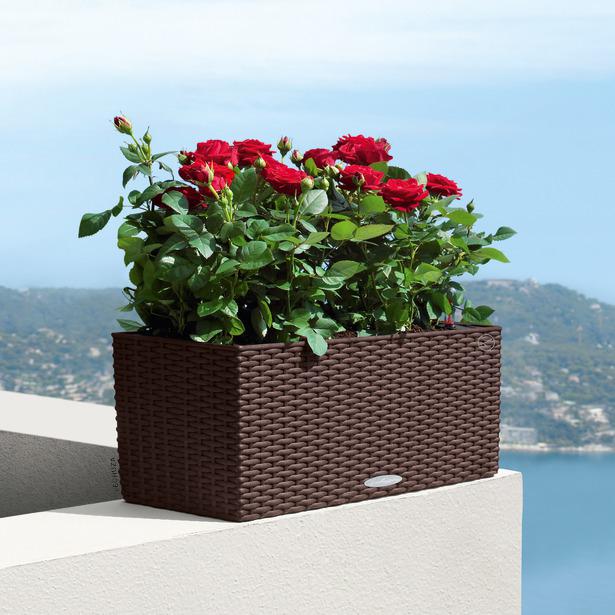 Lechuza Trend Collection BALCONERA Cottage 80 all in one 