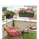 Lechuza Trend Collection BALCONERA Cottage 80 all in one 