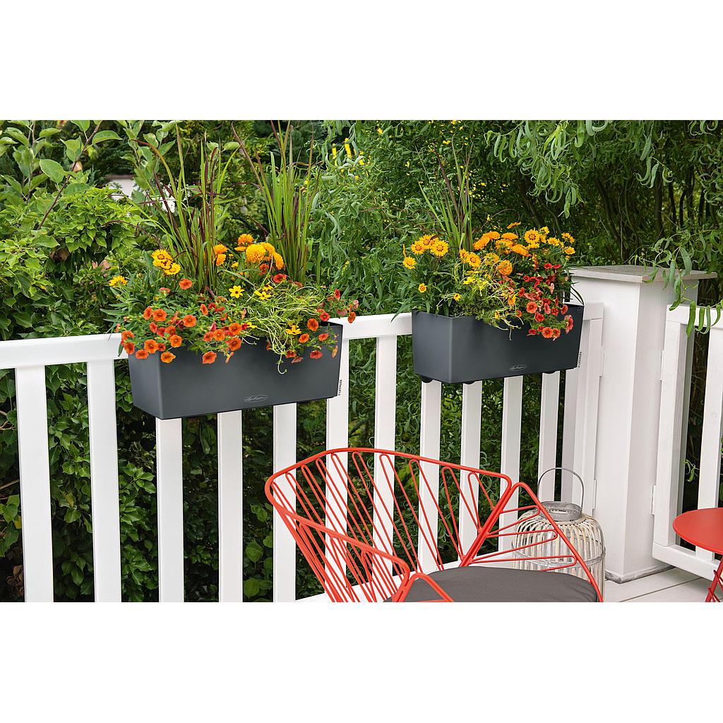 Lechuza Trend Collection BALCONERA Color 50 all in one