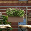 Lechuza Trend Collection BALCONERA Color 50 all in one