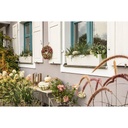 Lechuza Trend Collection BALCONERA Color 80 all in one