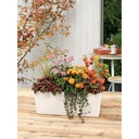 Lechuza Trend Collection BALCONERA Color 50 all in one petrolblau