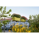 Lechuza Trend Collection BALCONERA Color 50 all in one petrolblau