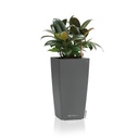 Lechuza Table Planters MAXI-CUBI all in one